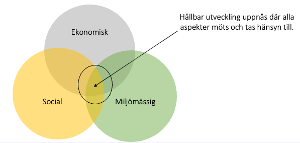Miljöarbetet inom SXK